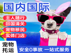 铜仁凤凰航空快运国际宠物托运 【国
